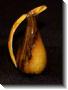 olivewood-vase1-4.jpg
